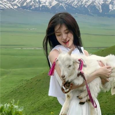 意外制造公司国语